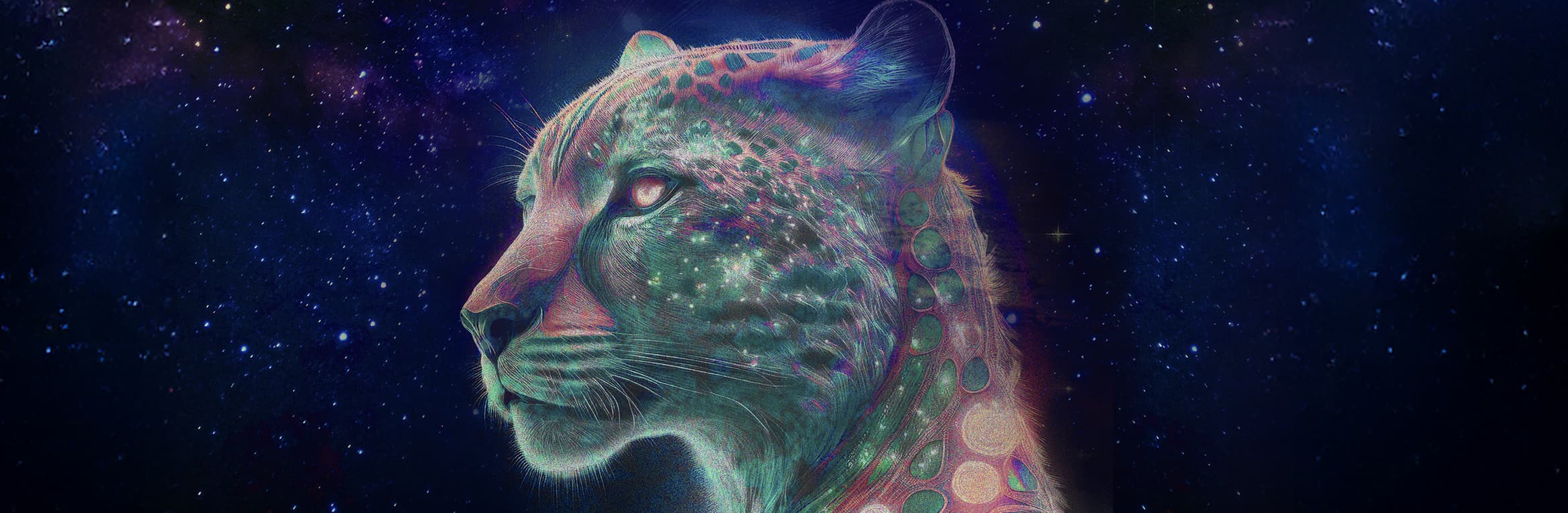 Basement Jaxx LIVE at Sidney Myer Music Bowl