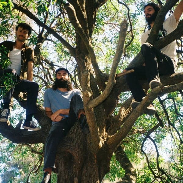 O.R.B at The Lansdowne Hotel, Sydney